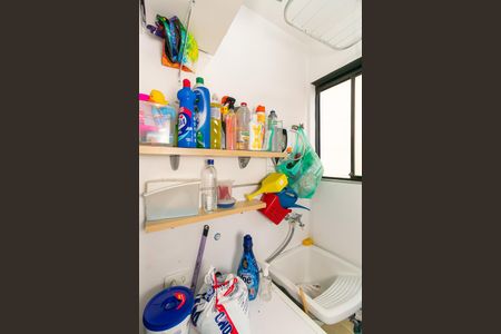 Área de Serviço de apartamento à venda com 2 quartos, 51m² em Quinta da Paineira, São Paulo
