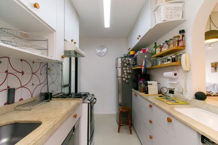 Cozinha de apartamento à venda com 2 quartos, 51m² em Quinta da Paineira, São Paulo