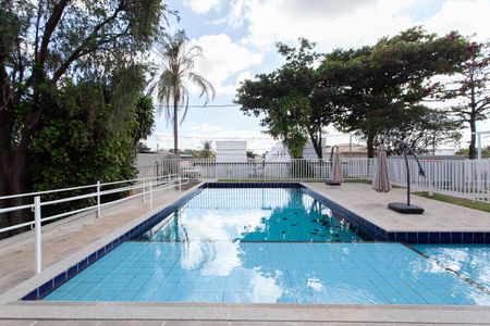 Área comum - Piscina de apartamento à venda com 2 quartos, 58m² em Trevo, Belo Horizonte