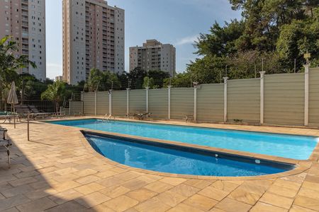 Área comum - Piscina de apartamento para alugar com 3 quartos, 72m² em Jardim Nova Europa, Campinas