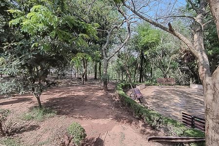 Apartamento para alugar com 2 quartos, 56m² em Vila Falchi, Mauá