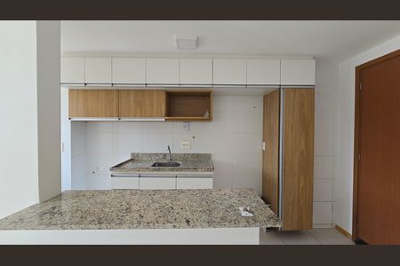 Cozinha - Armários de apartamento para alugar com 1 quarto, 44m² em Cachambi, Rio de Janeiro