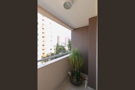 Apartamento à venda com 3 quartos, 70m² em Castelo, Belo Horizonte