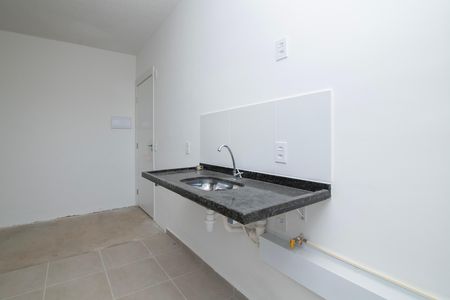 Cozinha de apartamento para alugar com 2 quartos, 51m² em Residencial Jardim Mônaco, Hortolândia