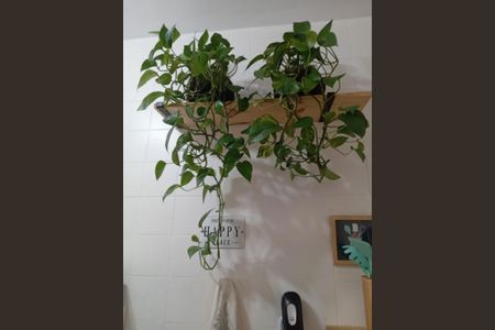 Apartamento à venda com 64m², 2 quartos e 1 vaga Apartamento à venda com 64m², 2 quartos e 1 vagaFoto 25