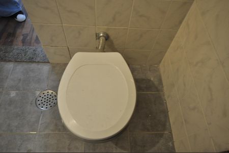 Banheiro da Suíte Master de casa para alugar com 4 quartos, 237m² em Vila Albertina, São Paulo
