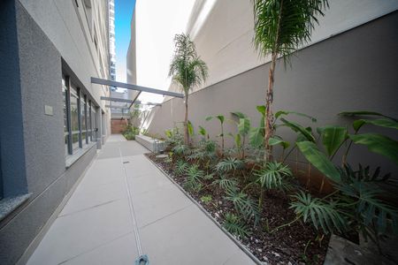 Studio para alugar com 31m², 1 quarto e sem vaga Studio para alugar com 31m², 1 quarto e sem vagaÁrea comum