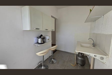 Cozinha - Armários de apartamento para alugar com 2 quartos, 55m² em Vila Rica, Lagoa Santa