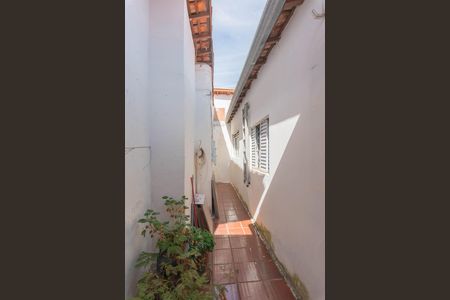 Quintal de casa à venda com 3 quartos, 250m² em Jardim Aurelia, Campinas