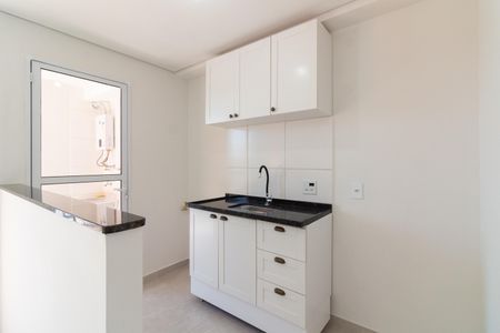 Cozinha de apartamento para alugar com 2 quartos, 42m² em Jaguaré, São Paulo