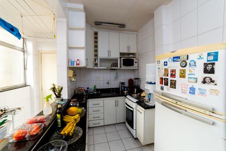Cozinha de apartamento à venda com 3 quartos, 90m² em Santo Antônio, Belo Horizonte