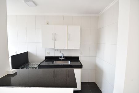 Cozinha de apartamento para alugar com 2 quartos, 47m² em Vila 31 de Março, Campinas
