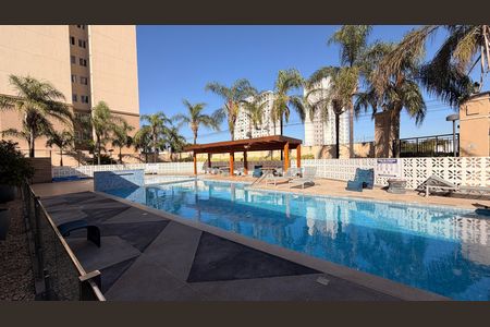 Área comum - Piscina de apartamento para alugar com 3 quartos, 74m² em Setor Faicalville, Goiânia