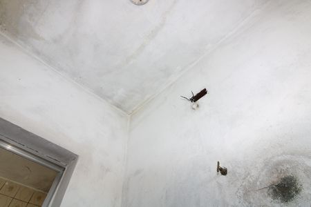 Casa à venda com 5 quartos, 300m² em Cangaiba, São Paulo