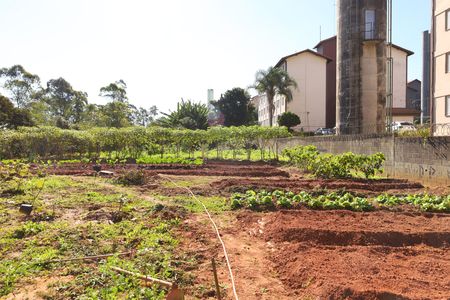 Apartamento para alugar com 51m², 2 quartos e 1 vagaÁrea comum - Horta