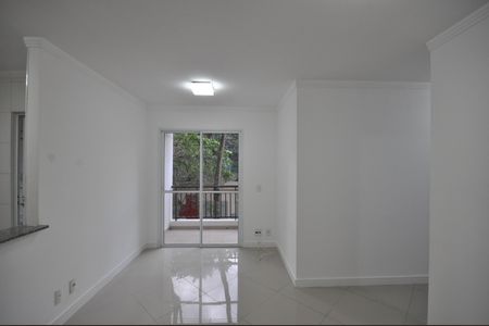 Sala de apartamento para alugar com 2 quartos, 53m² em Jardim Brasil (zona Norte), São Paulo