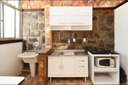 Cozinha de apartamento para alugar com 1 quarto, 46m² em Lourdes, Belo Horizonte
