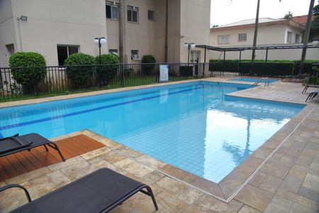 Área comum - Piscina de apartamento para alugar com 2 quartos, 56m² em Nova Petrópolis, São Bernardo do Campo
