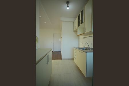 Cozinha  de apartamento para alugar com 2 quartos, 56m² em Nova Petrópolis, São Bernardo do Campo