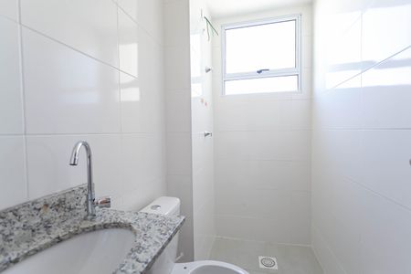 Banheiro social  de apartamento para alugar com 2 quartos, 50m² em Vila Boa Vista, Belo Horizonte