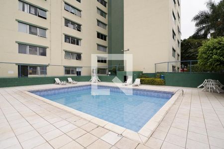Área comum - Piscina de apartamento para alugar com 2 quartos, 50m² em Mandaqui, São Paulo