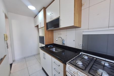 Cozinha de apartamento para alugar com 3 quartos, 65m² em Vila Sao Pedro, Santo André