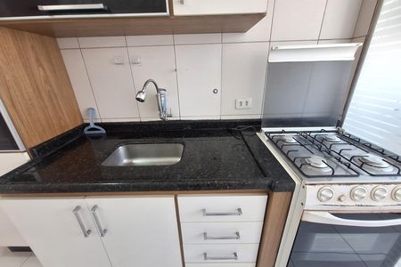 Cozinha de apartamento para alugar com 3 quartos, 65m² em Vila Sao Pedro, Santo André