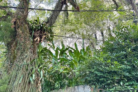 Casa à venda com 1000m², 3 quartos e 2 vagas