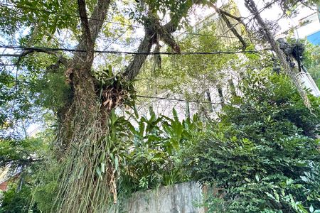 Casa à venda com 1000m², 3 quartos e 2 vagas