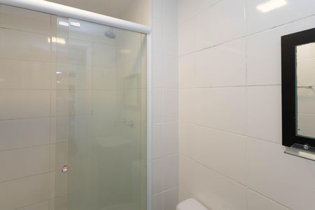 Banheiro  de apartamento para alugar com 2 quartos, 47m² em Parque Vitoria, São Paulo