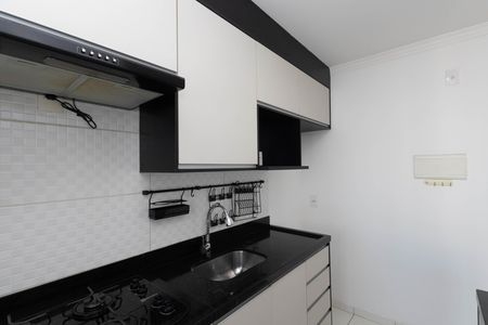 Apartamento para alugar com 47m², 2 quartos e 1 vagaCozinha - Armários