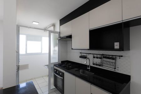 Apartamento para alugar com 47m², 2 quartos e 1 vagaCozinha - Armários