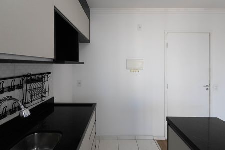 Cozinha - Armários de apartamento para alugar com 2 quartos, 47m² em Parque Vitoria, São Paulo