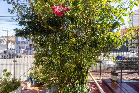 Vista da Sala de casa à venda com 3 quartos, 350m² em Vila Galvão, Guarulhos