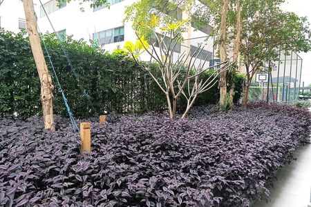 Área Comum de apartamento para alugar com 3 quartos, 119m² em Jardim Paulista, São Paulo