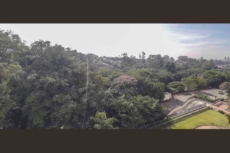 Apartamento para alugar com 194m², 4 quartos e 3 vagas Apartamento para alugar com 194m², 4 quartos e 3 vagasVista da varanda gourmet