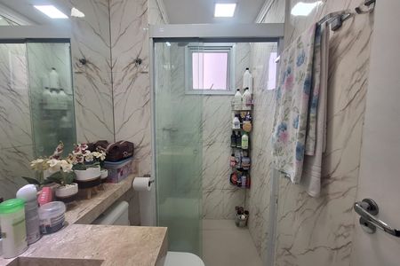 Banheiro de apartamento para alugar com 2 quartos, 48m² em Parque Jaçatuba, Santo André