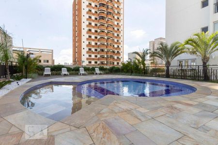 Área comum - Piscina de apartamento para alugar com 3 quartos, 77m² em Vila Maria, São Paulo