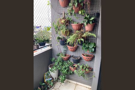 Apartamento à venda com 72m², 3 quartos e 2 vagas Apartamento à venda com 72m², 3 quartos e 2 vagasVaranda