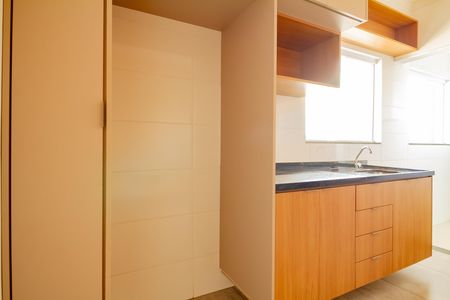 Cozinha de apartamento para alugar com 2 quartos, 45m² em Vila Nova Savoia, São Paulo