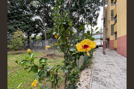 Jardins de apartamento para alugar com 1 quarto, 60m² em Lapa, São Paulo