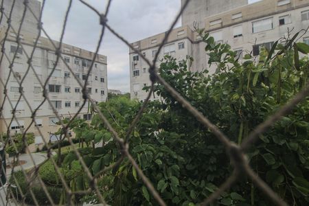 Vista de apartamento para alugar com 2 quartos, 47m² em Cavalhada, Porto Alegre