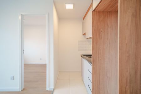 Cozinha de apartamento para alugar com 1 quarto, 31m² em Butantã, São Paulo