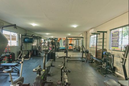 Área comum - Academia de apartamento para alugar com 2 quartos, 49m² em Parque das Constelações, Campinas