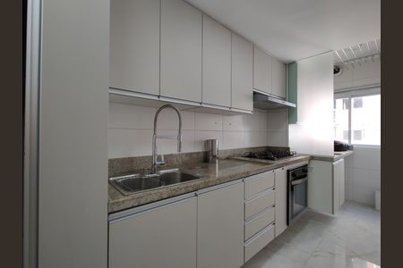 Apartamento para alugar com 70m², 3 quartos e 1 vagaCozinha - Armários