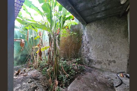 Casa para alugar com 300m², 8 quartos e 2 vagas