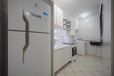 Cozinha de apartamento para alugar com 2 quartos, 54m² em Bom Viver, São José