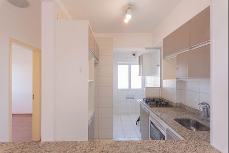 Cozinha de apartamento à venda com 2 quartos, 52m² em Jardim Nova Europa, Campinas