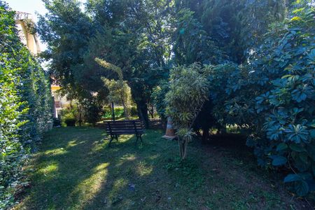 Área comum - Espaço Pet de casa de condomínio para alugar com 3 quartos, 220m² em Granja Viana, Cotia