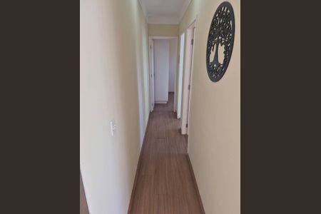 CORREDOR de apartamento para alugar com 2 quartos, 50m² em Jardim Myrian Moreira da Costa, Campinas